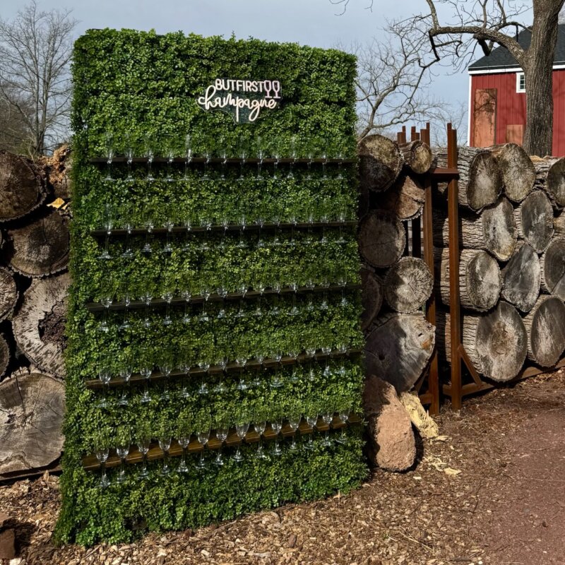 Champagne Wall (7')