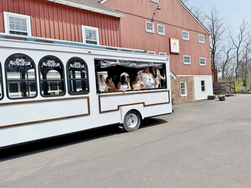 Wedding Trolley - Image 3